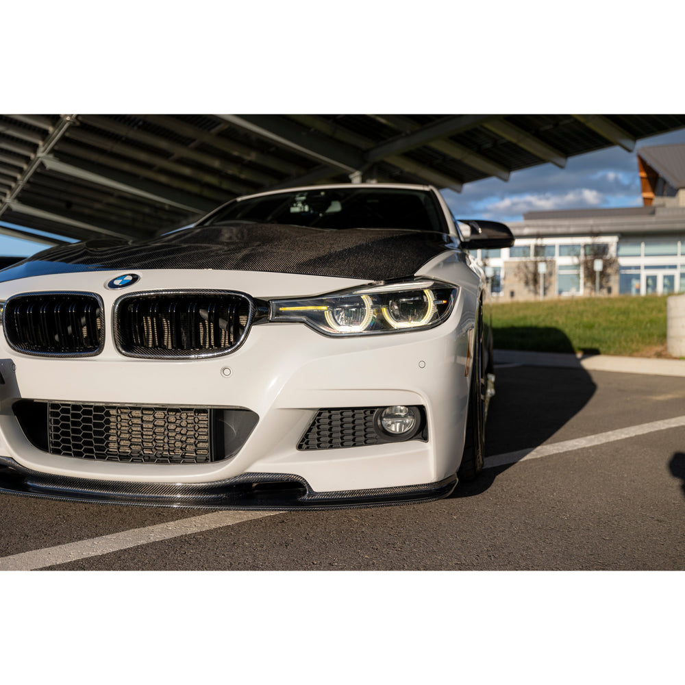 Dual Slat Carbon Fiber Grille - BMW F30