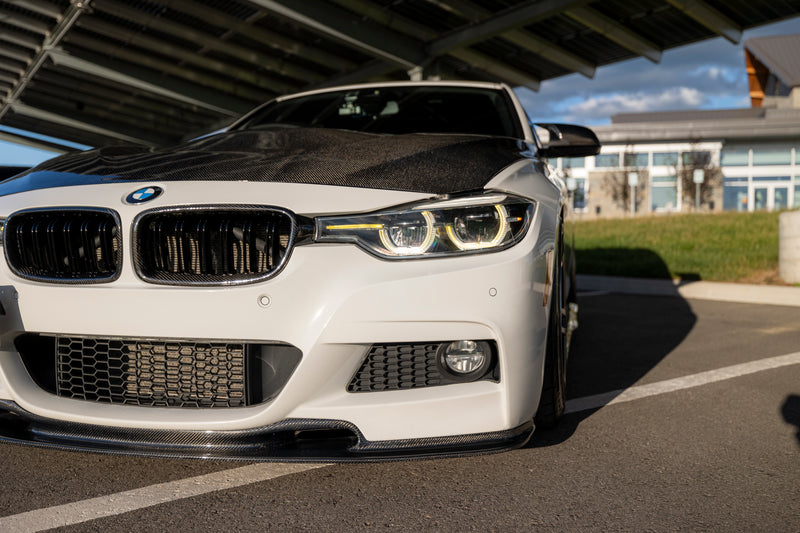 BMW F Chassis - Carbon Fiber GTS Hood