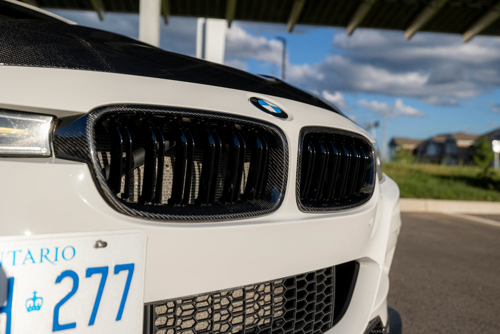 Dual Slat Carbon Fiber Grille - BMW F30