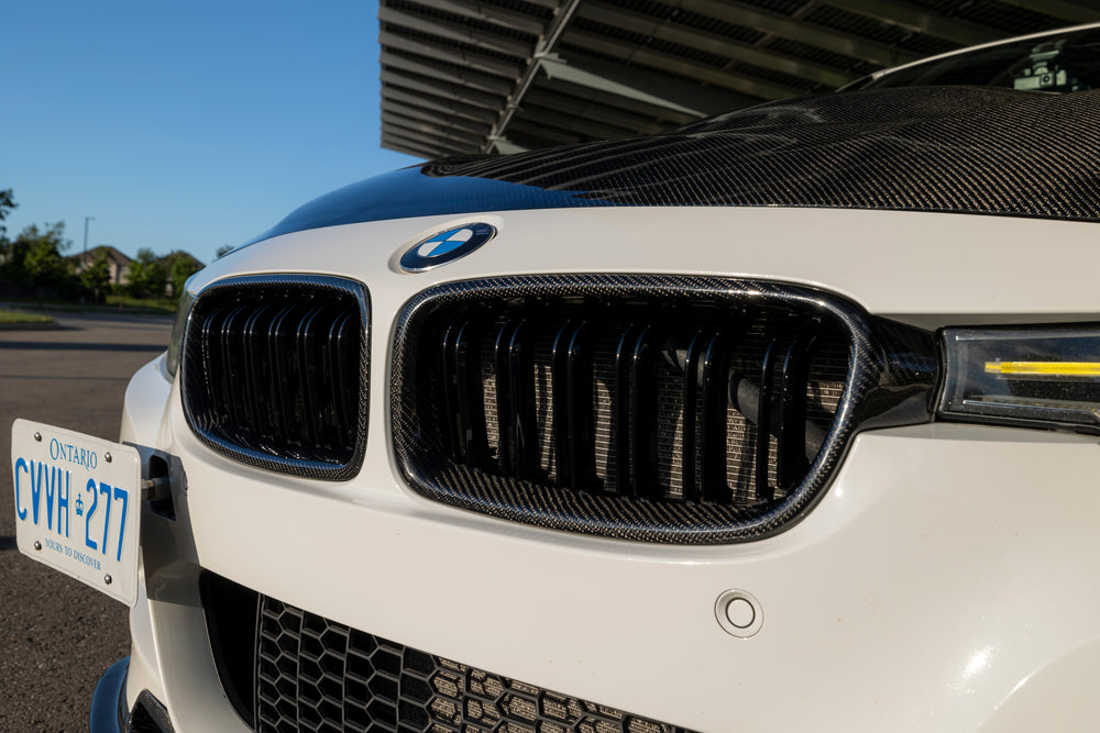 Dual Slat Carbon Fiber Grille - BMW F30