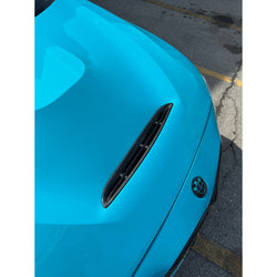 Carbon Fiber Carbon Hood Vent - BMW GTS Hood