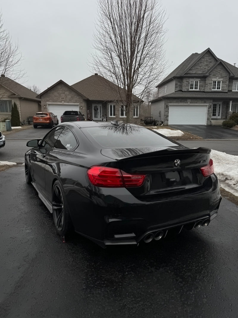 PSM Style Carbon Fiber Side Skirts - BMW F80 M3 & F82 / F83 M4